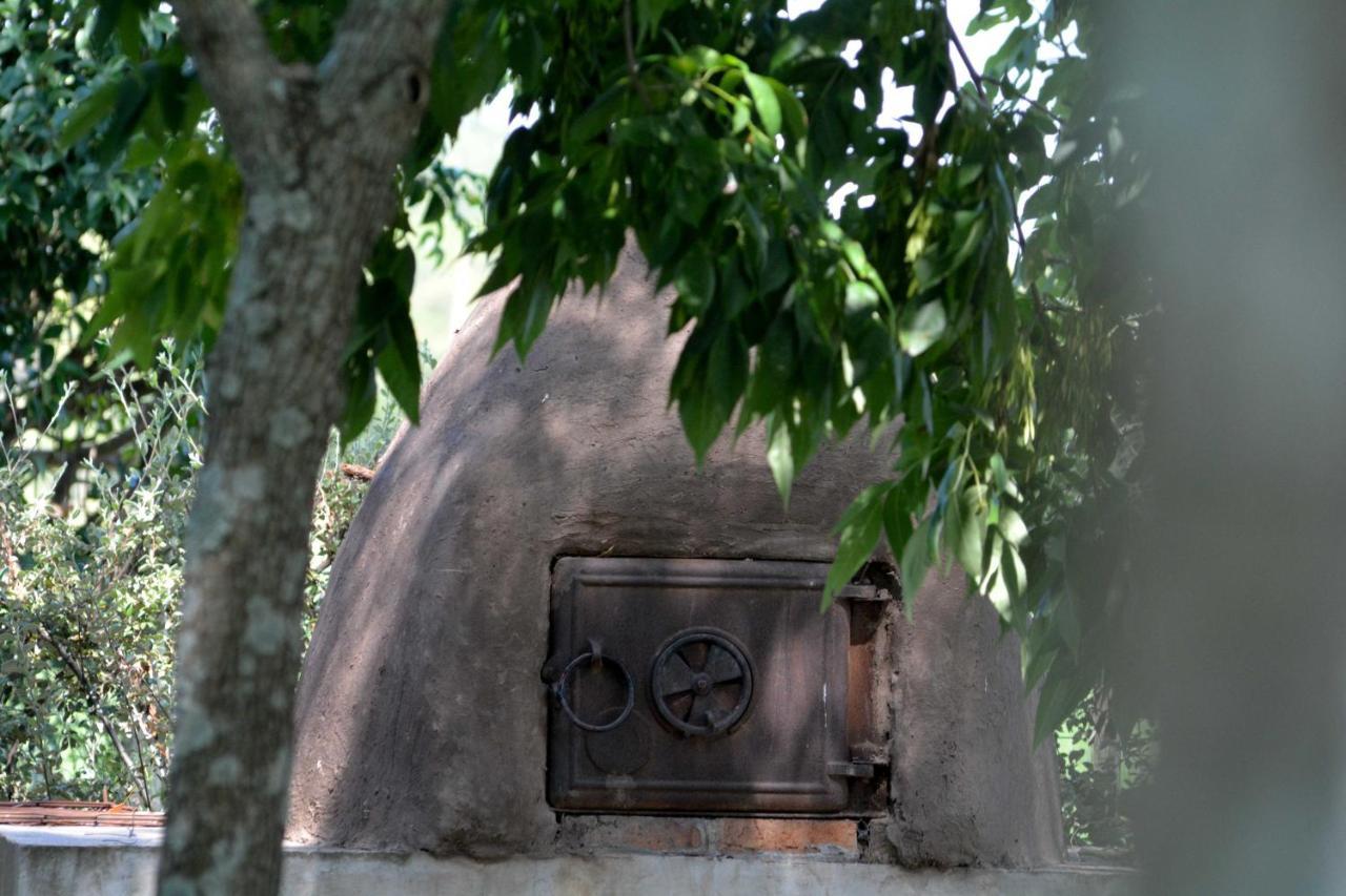 La Monturera, Loft De Campo Apartman Colonia del Sacramento Kültér fotó