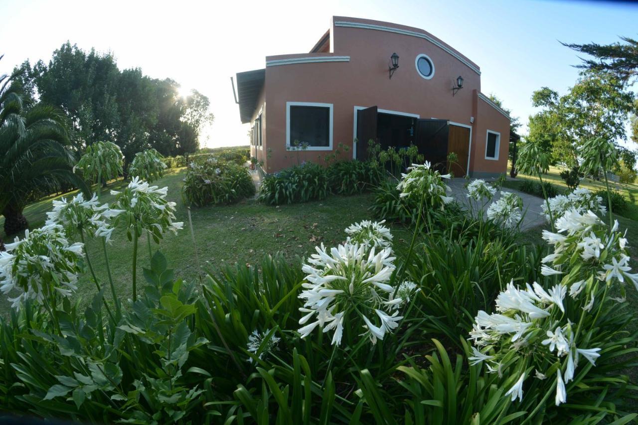 La Monturera, Loft De Campo Apartman Colonia del Sacramento Kültér fotó