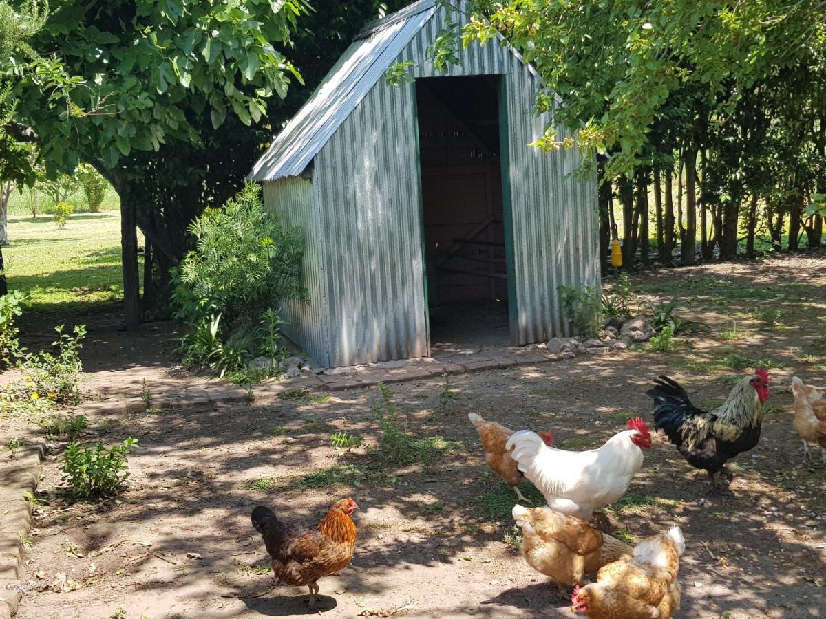 La Monturera, Loft De Campo Apartman Colonia del Sacramento Kültér fotó