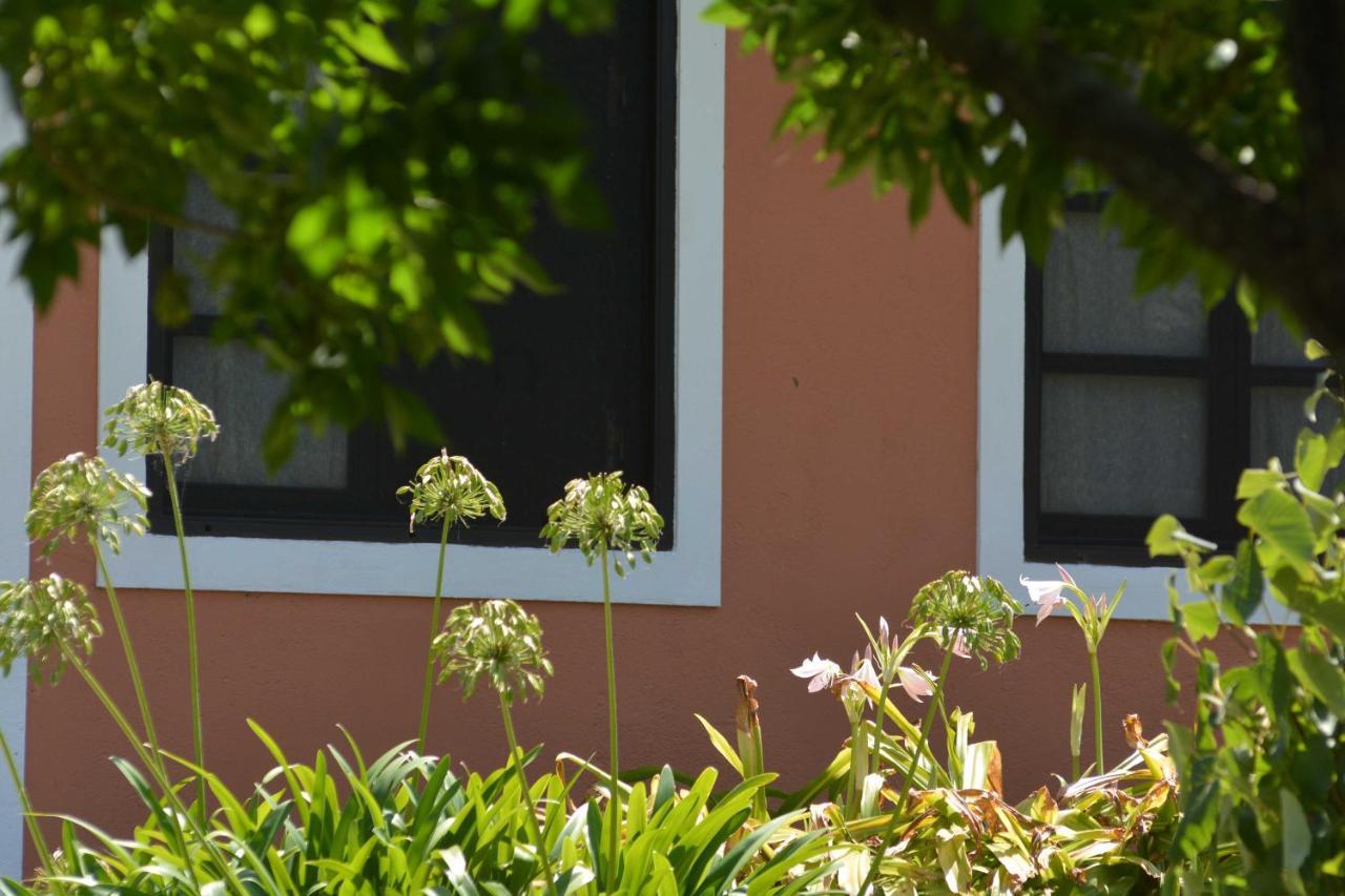 La Monturera, Loft De Campo Apartman Colonia del Sacramento Kültér fotó