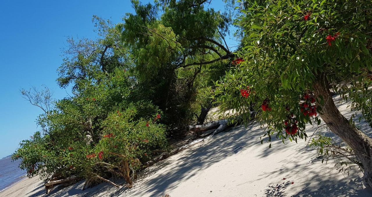 La Monturera, Loft De Campo Apartman Colonia del Sacramento Kültér fotó